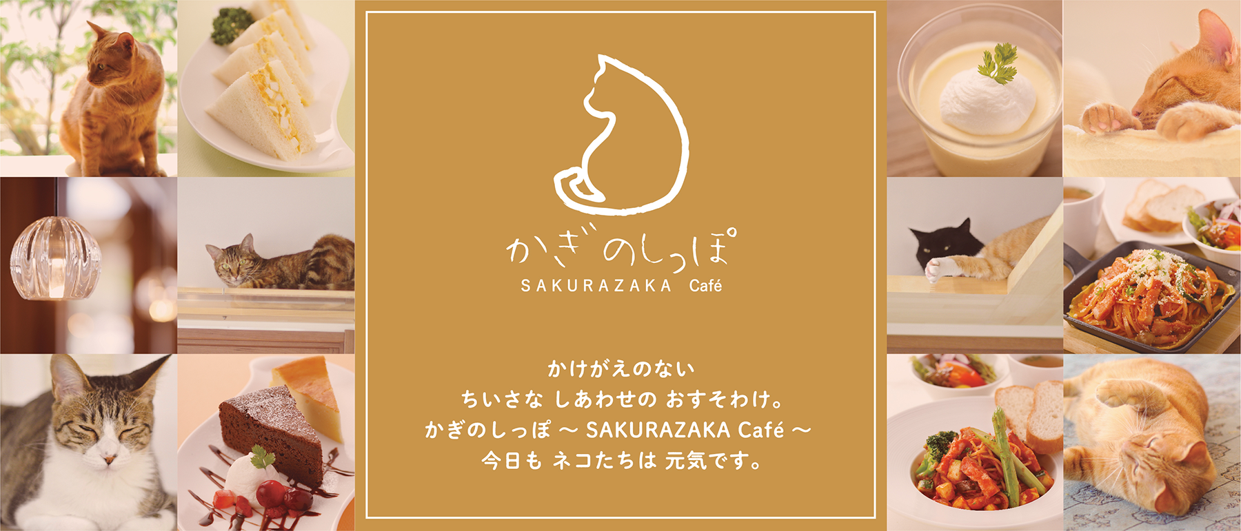 かけがえのないちいさなしあわせのおすそわけ。かぎのしっぽ 〜SAKURAZAKA Café〜 今日もネコたちは元気です。